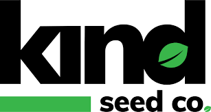 Your Ultimate Guide to Marijuana Seeds New Mexico