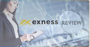Unlocking Trading Potential with Exness Educational Resources